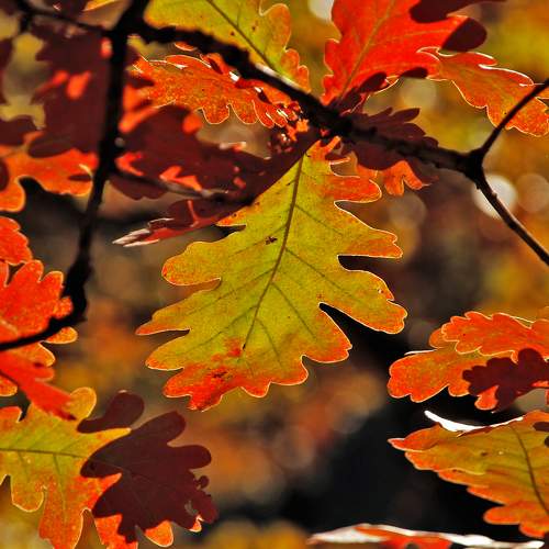 Photo #6693000