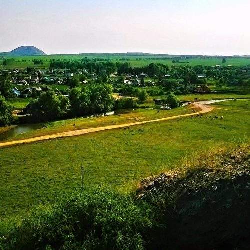Photo #6693811