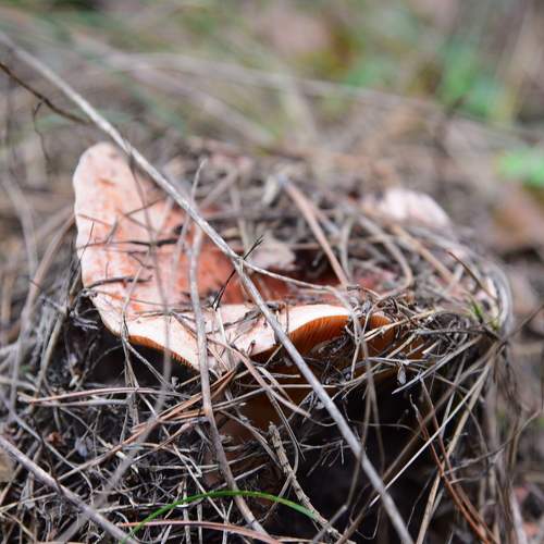 Photo #6693903