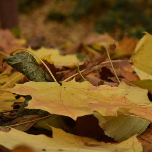 Photo #6693908