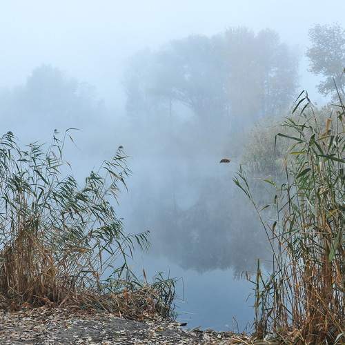 Photo #6694015