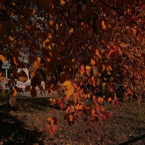 Photo #6694099
