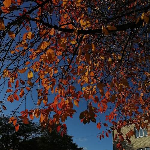 Photo #6694106