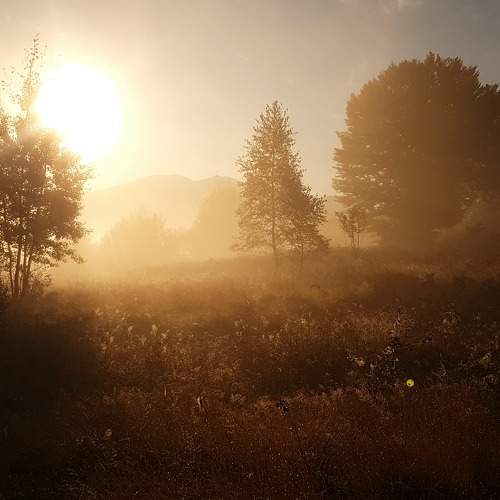 Photo #6694132