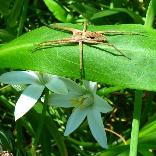 Photo #6694253