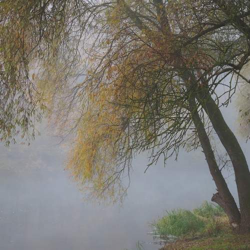 Photo #6694310
