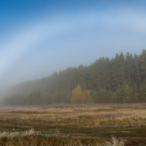 Photo #6694311