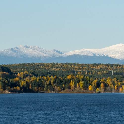 Photo #6694367