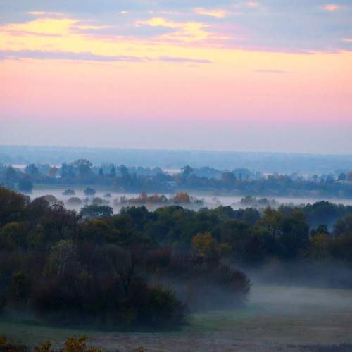 Photo #6694405