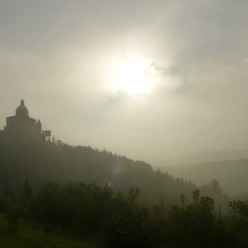 Photo #6694503