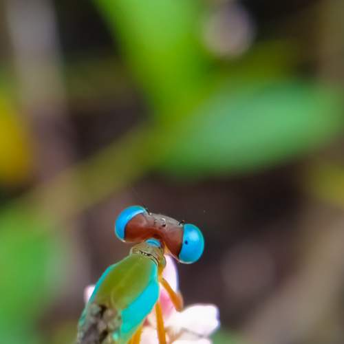 Photo #6694655