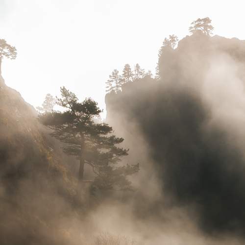 Photo #6694660