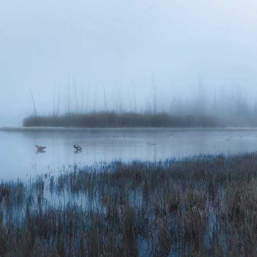 Photo #6694740