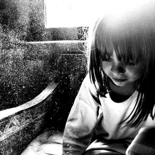 Photo #6695058