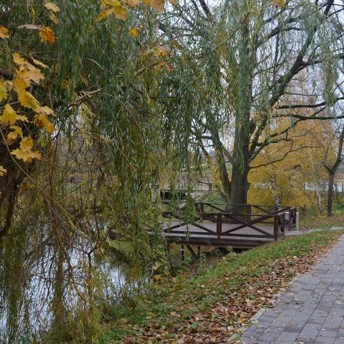 Photo #6695231