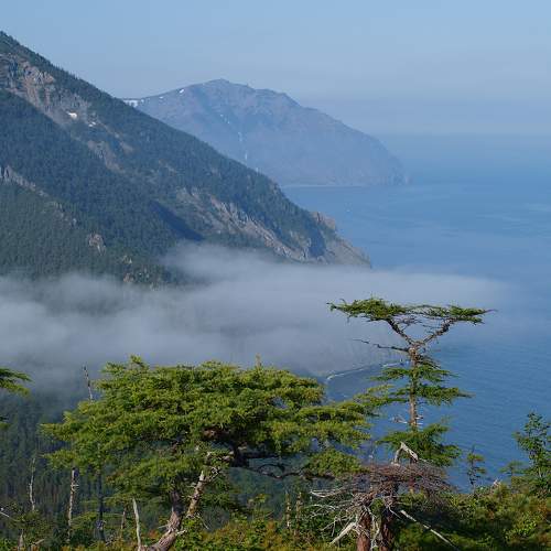 Photo #6695306