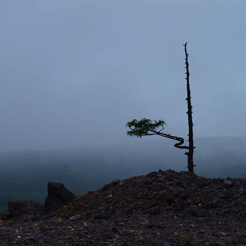 Photo #6695309