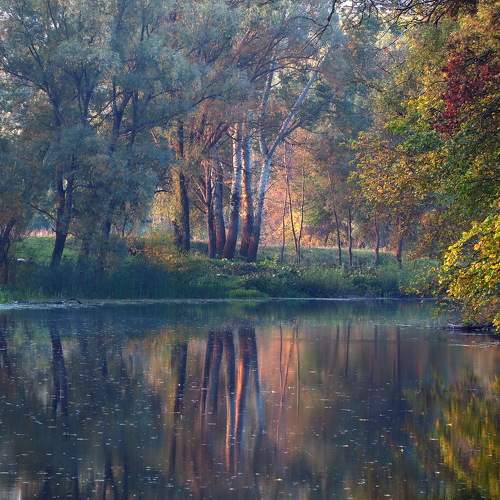 Photo #6695383