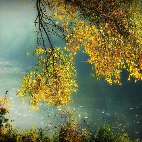 Photo #6695395