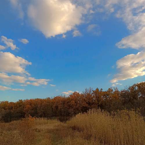 Photo #6695821
