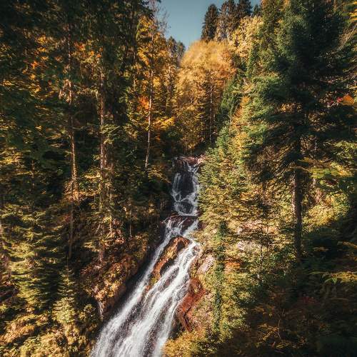 Photo #6695827
