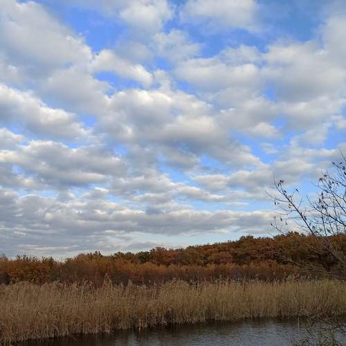 Photo #6695832