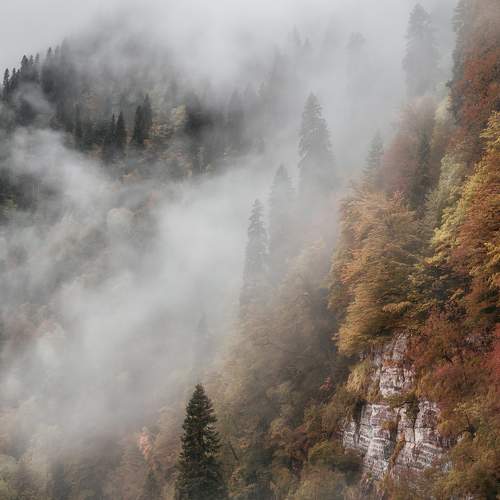 Photo #6695837