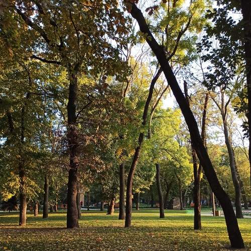 Photo #6695838