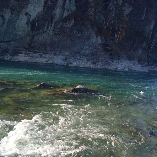 Photo #6695879