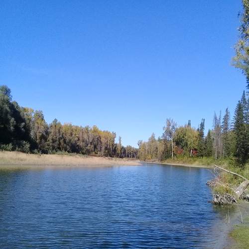Photo #6695900