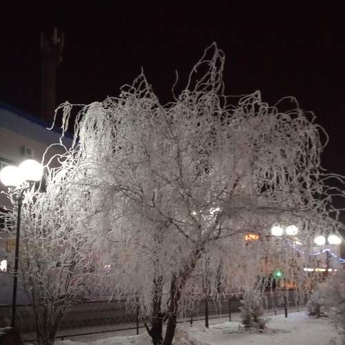 Photo #6695902