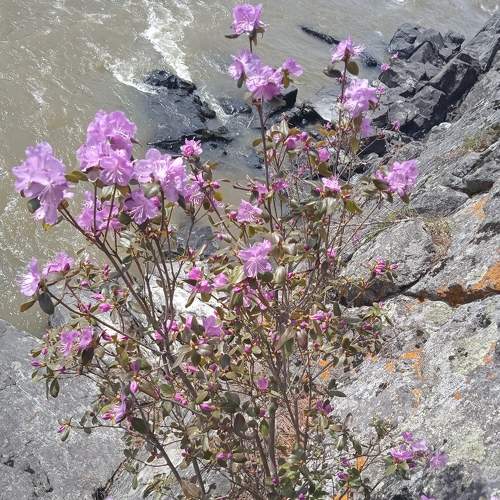 Photo #6695980