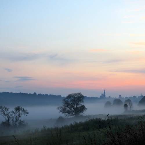 Photo #6696114