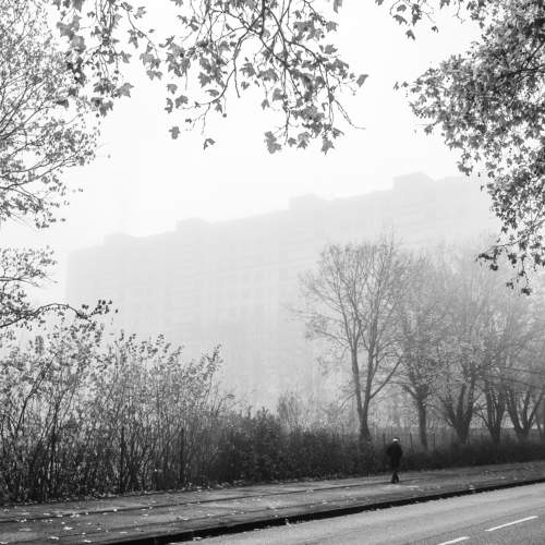 Photo #6696120