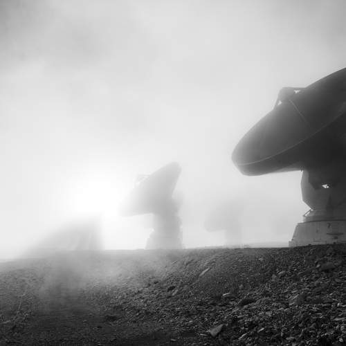 Photo #6696125