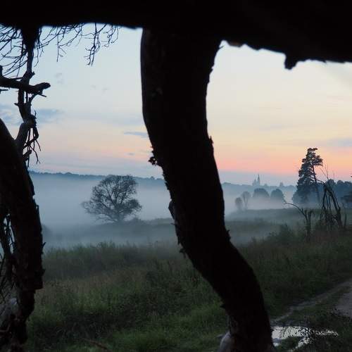 Photo #6696127