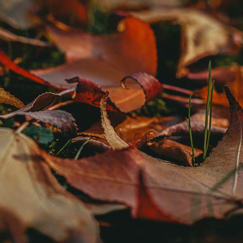 Photo #6696425