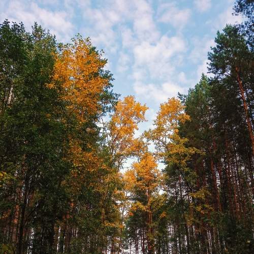 Photo #6696894