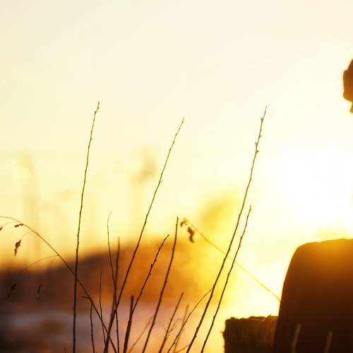 Photo #6697089