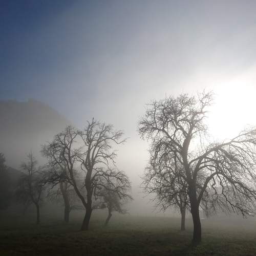 Photo #6697105