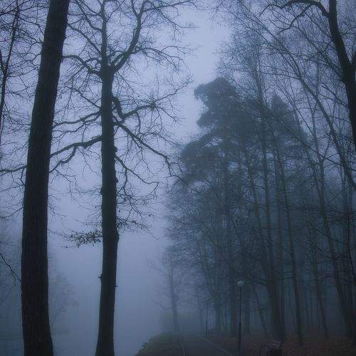 Silent Park