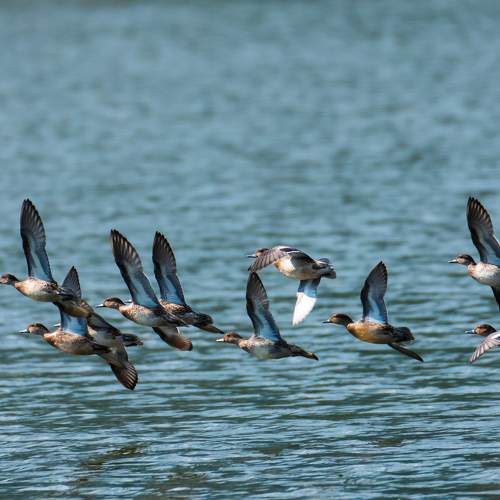 Photo #6697476
