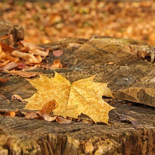 Photo #6697844