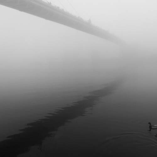 Photo #6698168