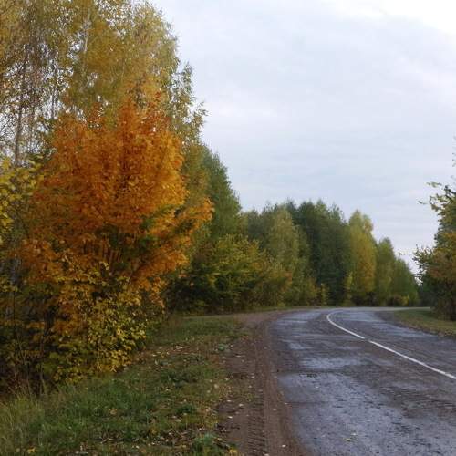 Осенняя дорога