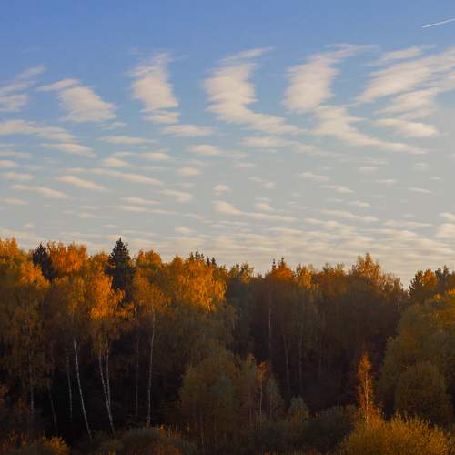 Photo #6698298