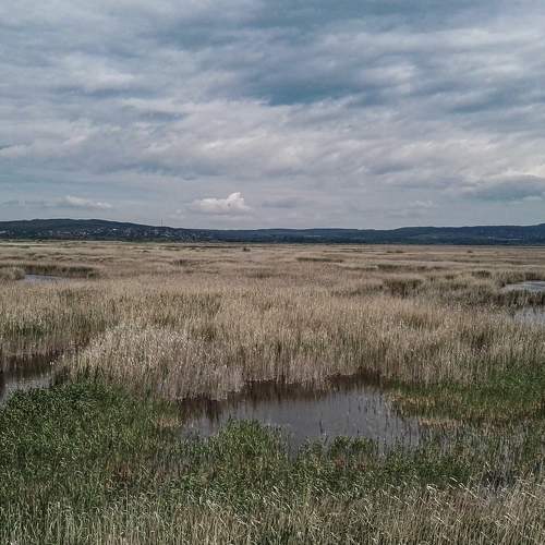 Photo #6698504