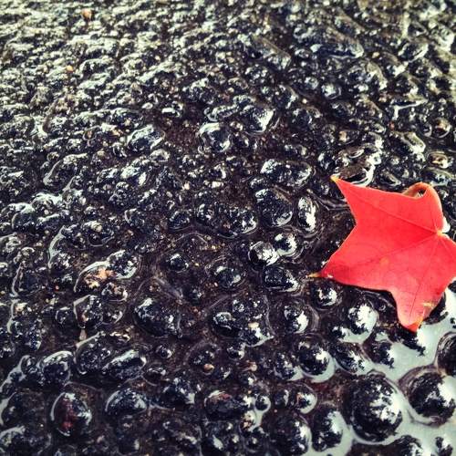 Photo #6698657