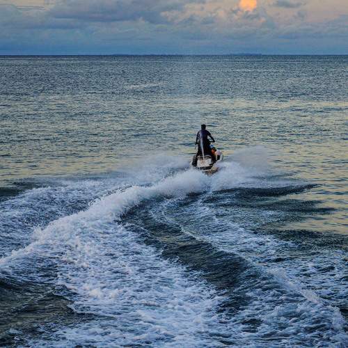 Photo #6698658