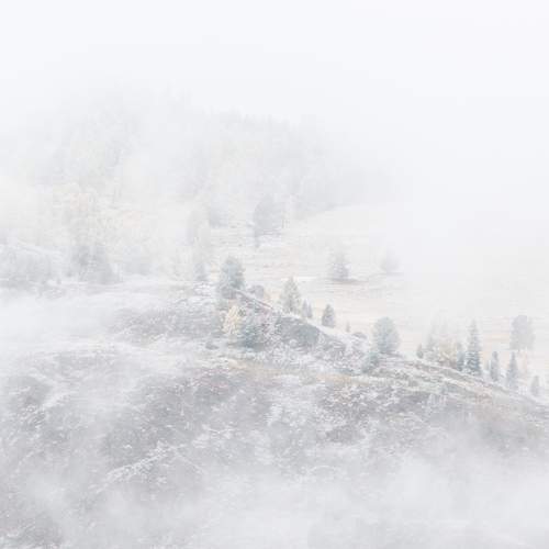 Photo #6698767